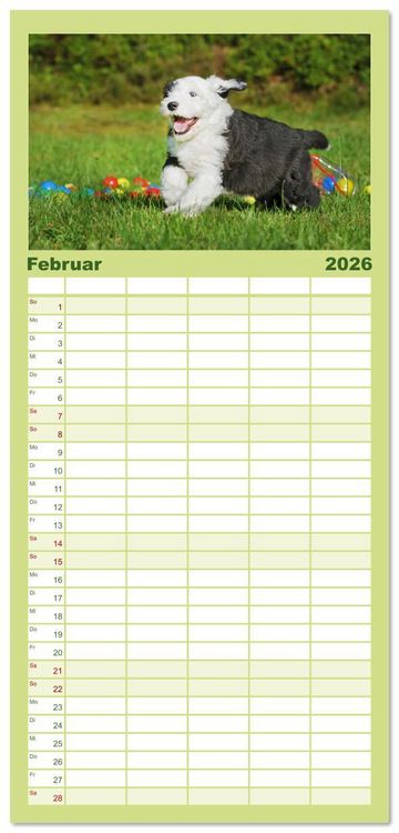 Produktbild: Familienplaner 2026 - In der Kinderstube bei Familie Bobtail mit 5 Spalten (Wandkalender, 21 x 45 cm) CALVENDO