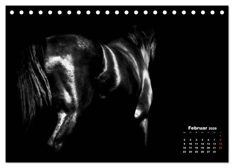 Produktbild: Pferde zwischen Licht und Schatten (Tischkalender 2026 DIN A5 quer), CALVENDO Monatskalender