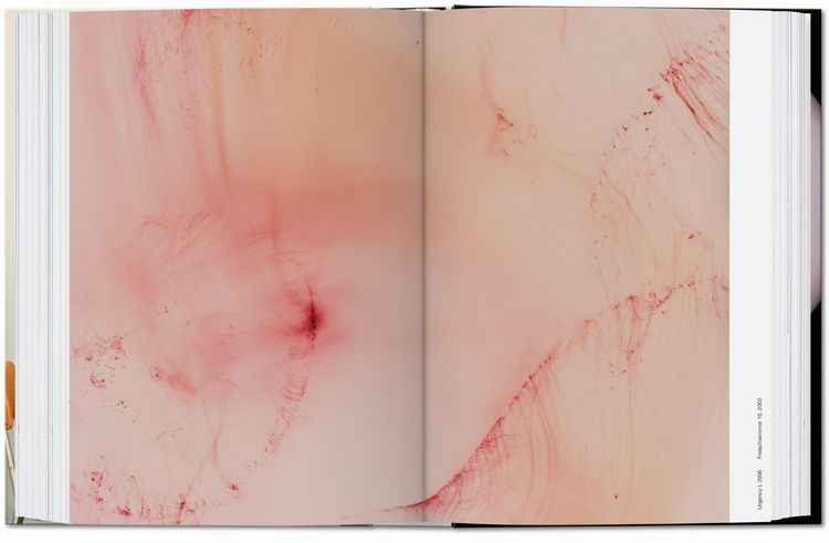 Produktbild: Wolfgang Tillmans