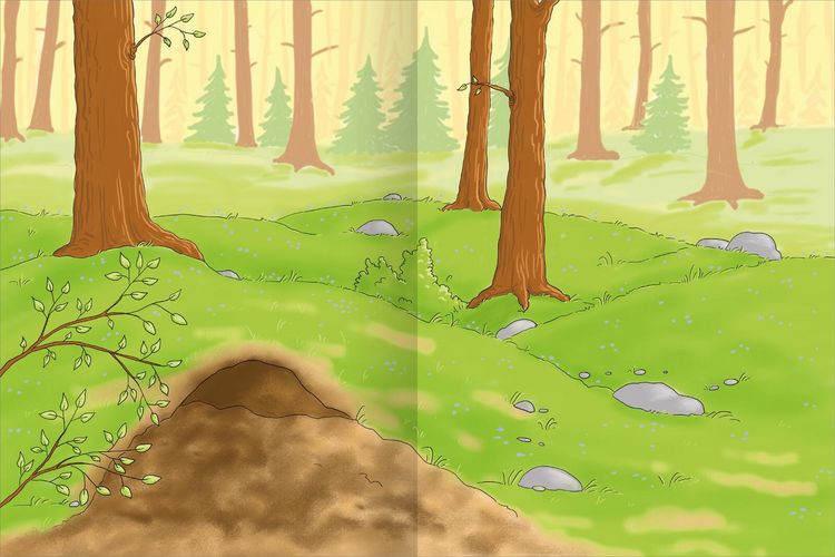 Produktbild: Erstes Stickern &ndash; Im Wald