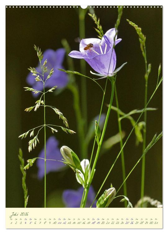 Produktbild: Bl&uuml;tenzauber im Garten (hochwertiger Premium Wandkalender 2026 DIN A2 hoch), Kunstdruck in Hochglanz