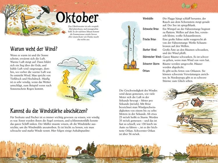 Produktbild: Pettersson und Findus. Mit Findus durchs ganze Jahr