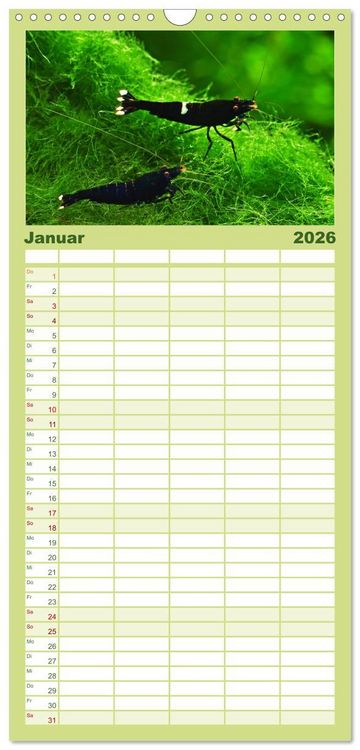 Produktbild: Familienplaner 2026 - Dwarf Shrimps mit 5 Spalten (Wandkalender, 21 x 45 cm) CALVENDO