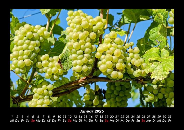 Produktbild: Obstkalender 2025 Fotokalender DIN A3