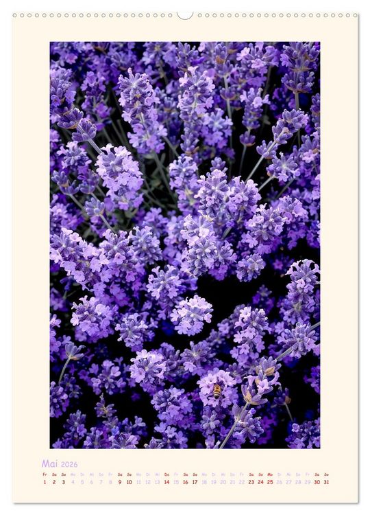 Produktbild: Lavendel (hochwertiger Premium Wandkalender 2026 DIN A2 hoch), Kunstdruck in Hochglanz