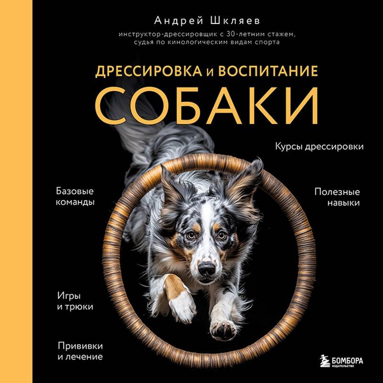 Produktbild: Dressirovka i vospitanie sobaki