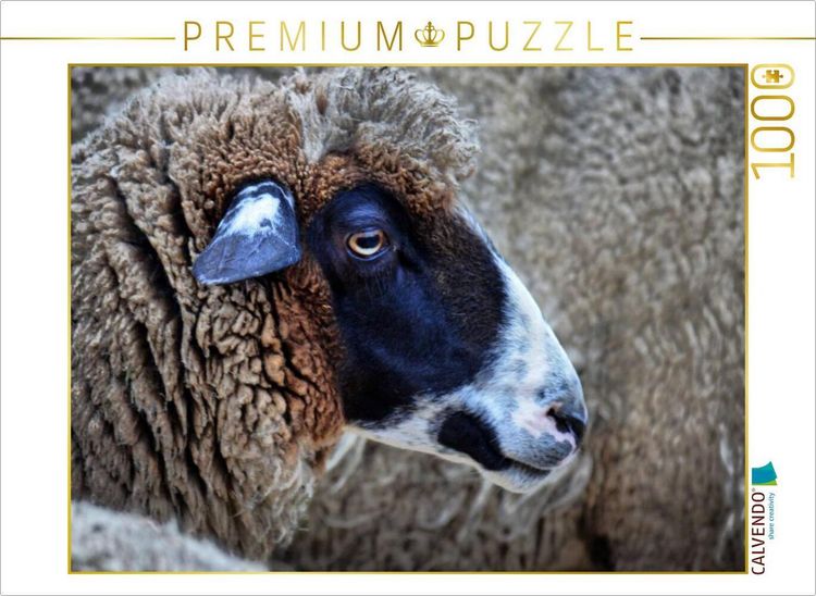 Produktbild: CALVENDO Puzzle Freundliches Schaf | 1000 Teile Lege-Gr&ouml;&szlig;e 64x48cm Foto-Puzzle f&uuml;r gl&uuml;ckliche Stunden