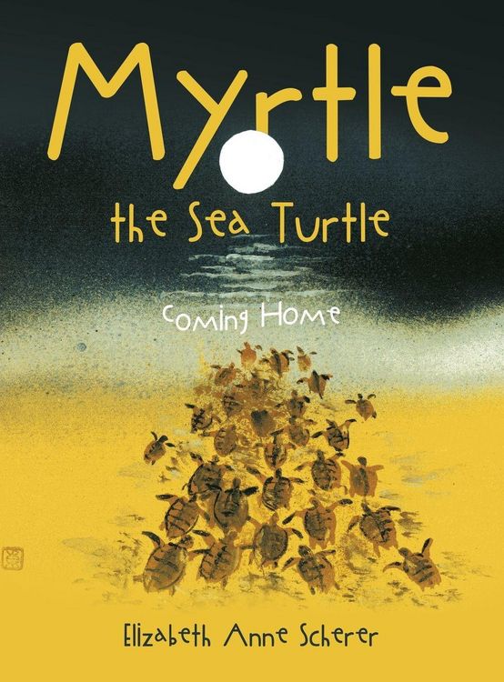 Produktbild: Myrtle the Sea Turtle