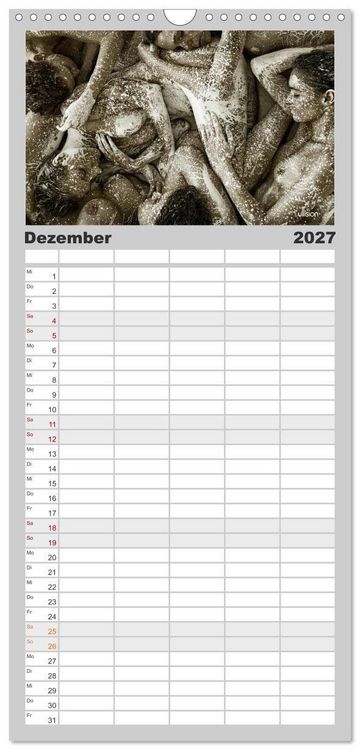 Produktbild: Familienplaner 2027 - FARBSPIELE - Akt im Feuerwerk der Farben mit 5 Spalten (Wandkalender, 21 x 45 cm) CALVENDO