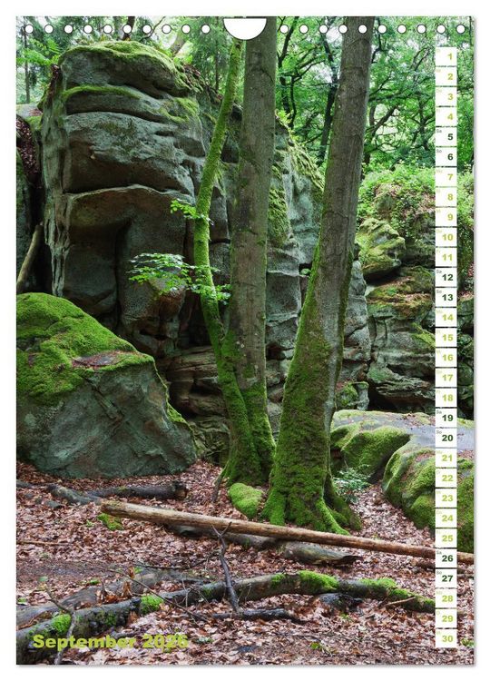 Produktbild: EIFEL - Kraftorte Wald und Wasser (Wandkalender 2026 DIN A4 hoch), CALVENDO Monatskalender