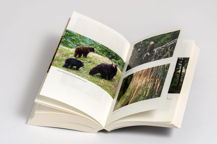 Produktbild: Die Weisheit der W&auml;lder
