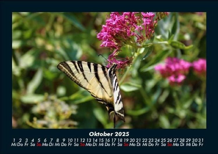 Produktbild: Bilder aus der Natur 2025 Fotokalender DIN A5