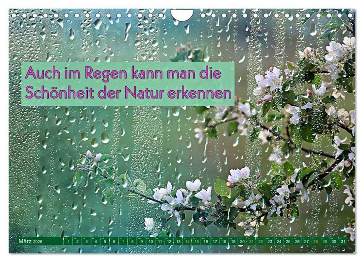 Produktbild: Regenmomente &ndash; Spr&uuml;che f&uuml;r graue Tage (Wandkalender 2026 DIN A4 quer), CALVENDO Monatskalender