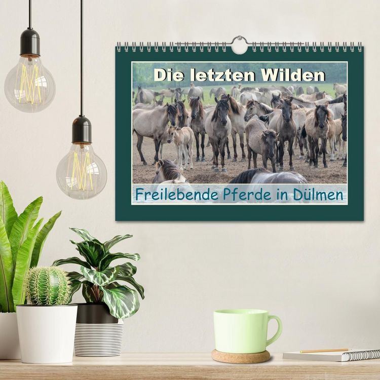 Produktbild: Die letzten Wilden - freilebende Pferde in D&uuml;lmen (Wandkalender 2027 DIN A4 quer), CALVENDO Monatskalender