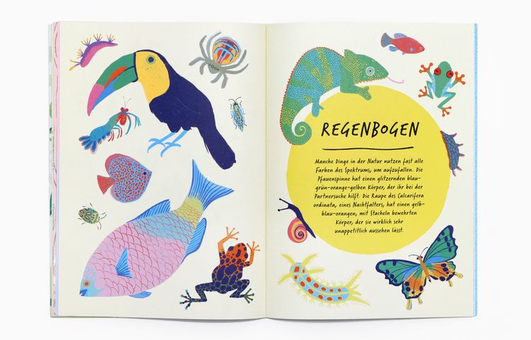 Produktbild: Zeichne wie die Natur: Farben