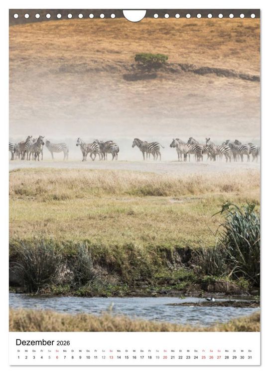 Produktbild: Serengeti Pur - Tansania (Wandkalender 2026 DIN A4 hoch), CALVENDO Monatskalender