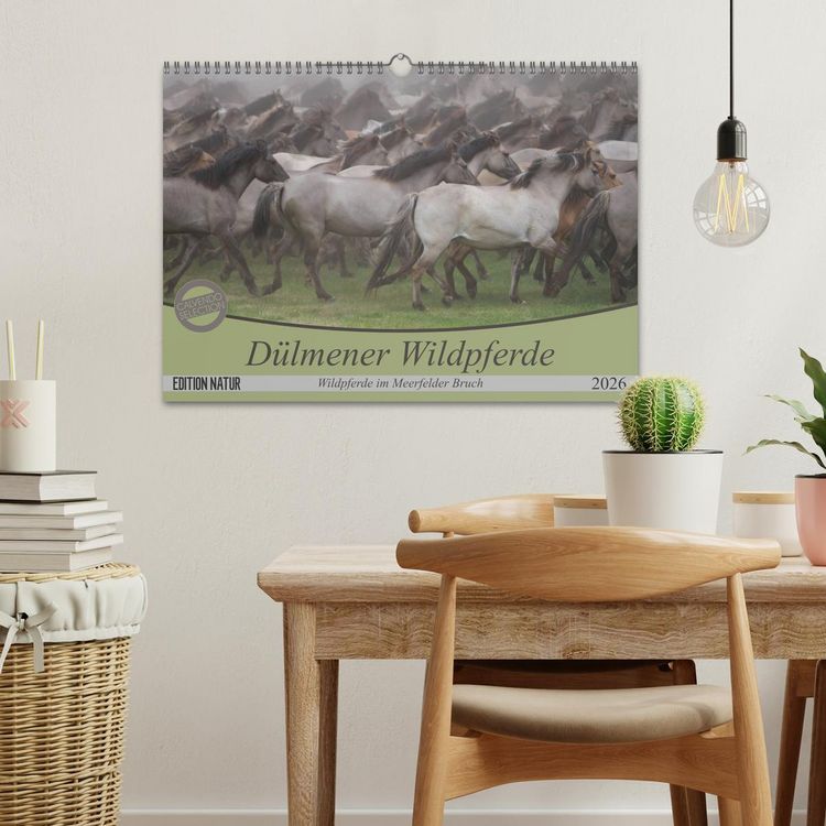 Produktbild: D&uuml;lmener Wildpferde - Wildpferde im Meerfelder Bruch (Wandkalender 2026 DIN A3 quer), CALVENDO Monatskalender