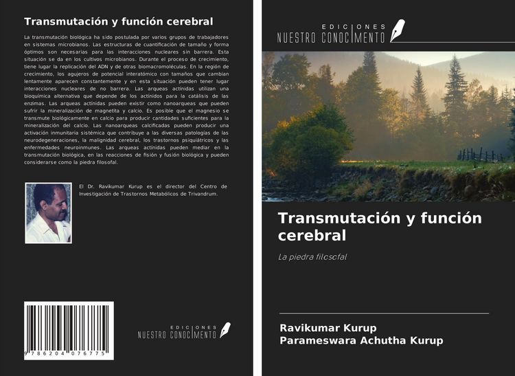 Produktbild: Transmutaci&oacute;n y funci&oacute;n cerebral