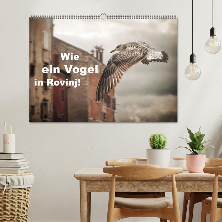 Produktbild: Wie ein Vogel in Rovinj! (Wandkalender 2026 DIN A2 quer), CALVENDO Monatskalender