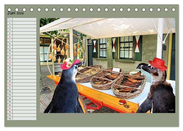 Produktbild: Pinguine privat Planer (Tischkalender 2026 DIN A5 quer), CALVENDO Monatskalender