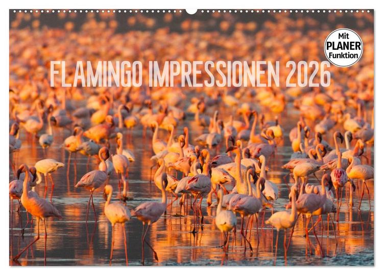 Produktbild: Flamingo Impressionen 2026 (Wandkalender 2026 DIN A2 quer), CALVENDO Monatskalender