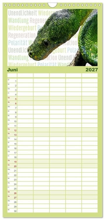 Produktbild: Familienplaner 2027 - Mein wildes Krafttier voller Achtsamkeit mit 5 Spalten (Wandkalender, 21 x 45 cm) CALVENDO