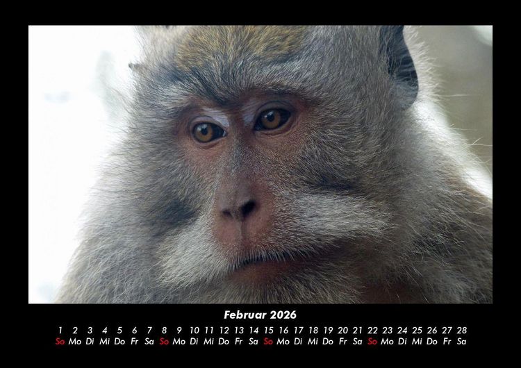 Produktbild: Indonesien 2026 Fotokalender DIN A3
