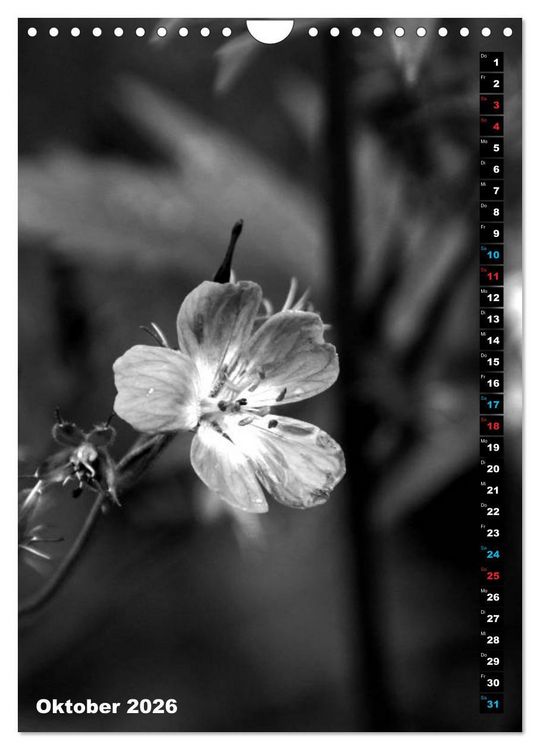 Produktbild: Blumige Graustufen - Schwarz und Wei&szlig; (Wandkalender 2026 DIN A4 hoch), CALVENDO Monatskalender