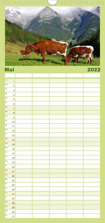 Produktbild: Familienplaner S&uuml;dtirol 2022 (Wandkalender 2022 , 21 cm x 45 cm, hoch)