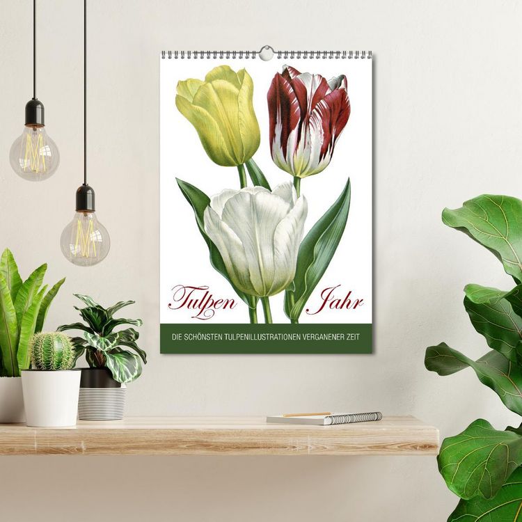 Produktbild: Tulpen - Jahr (Wandkalender 2026 DIN A3 hoch), CALVENDO Monatskalender
