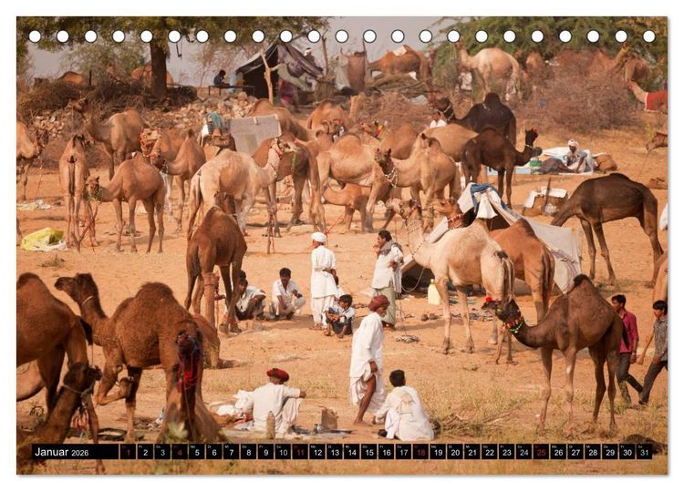 Produktbild: Rajasthan, Indien - Pushkar Mela (Tischkalender 2026 DIN A5 quer), CALVENDO Monatskalender