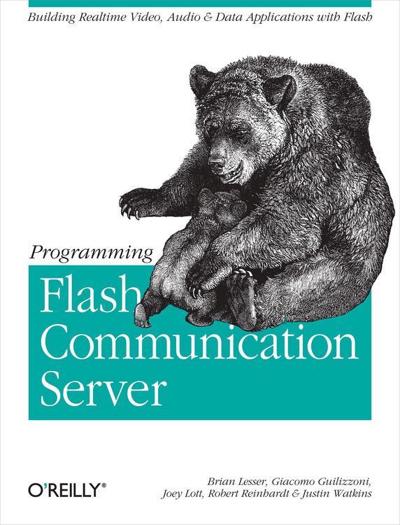 Produktbild: Programming Flash Communication Server