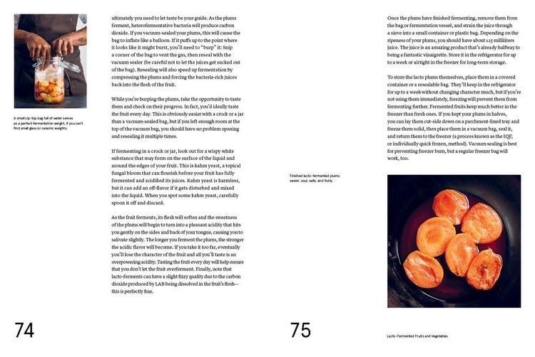 Foundations of Flavor: The Noma Guide to Fermentation