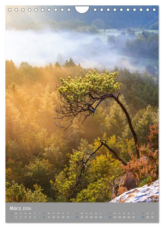 Produktbild: Traumhafte Pfalz (Wandkalender 2026 DIN A4 hoch), CALVENDO Monatskalender