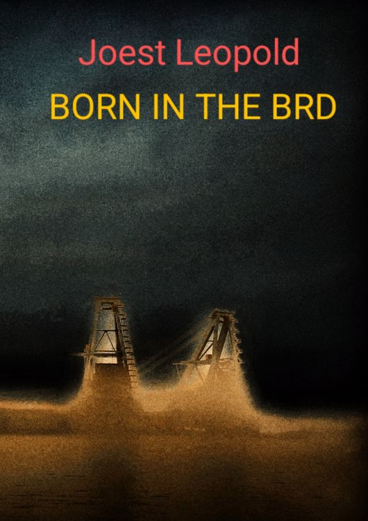 Produktbild: Born in The BRD