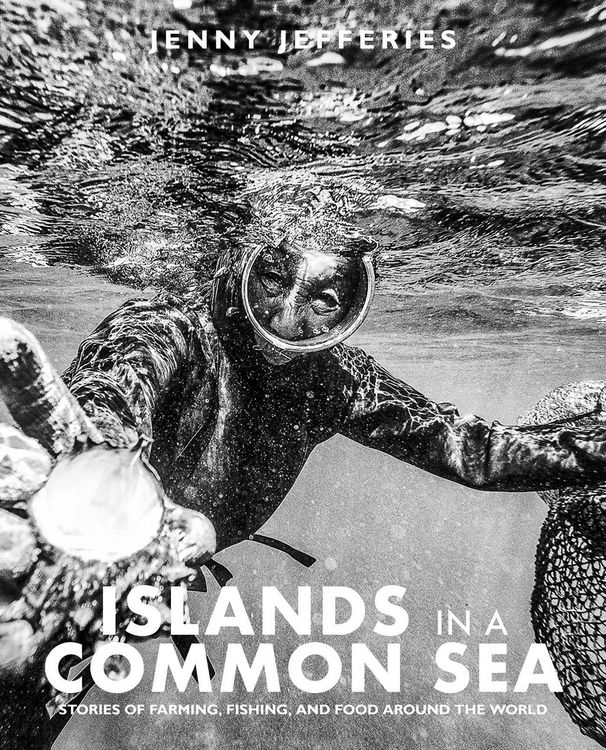 Produktbild: Islands In A Common Sea
