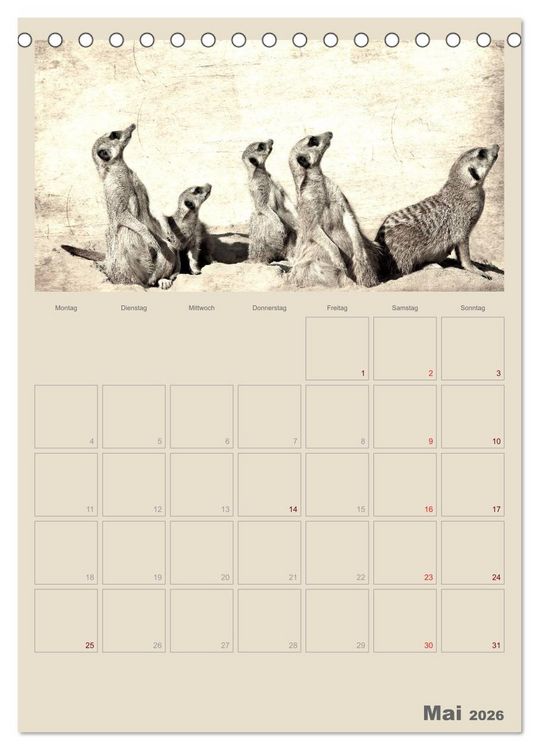 Produktbild: Lustige Erdm&auml;nnchen (Tischkalender 2026 DIN A5 hoch), CALVENDO Monatskalender