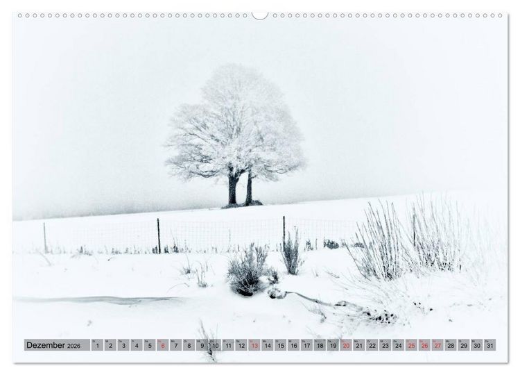 Produktbild: Franken WildRomantisch (hochwertiger Premium Wandkalender 2026 DIN A2 quer), Kunstdruck in Hochglanz