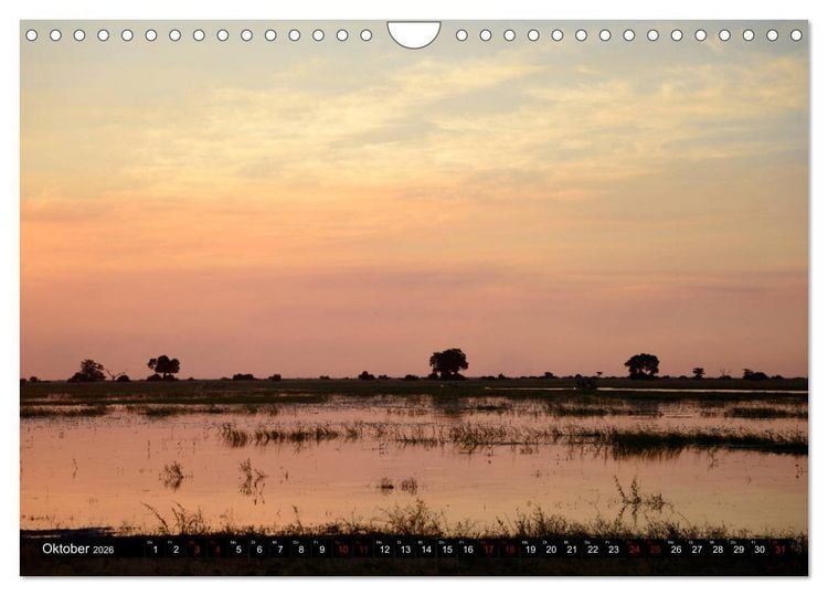 Produktbild: Faszination Botswana (Wandkalender 2026 DIN A4 quer), CALVENDO Monatskalender