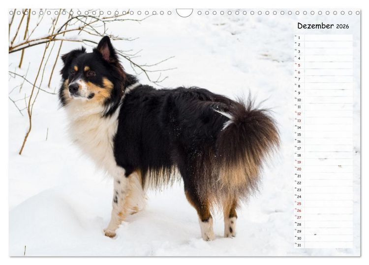 Produktbild: Geliebte Tiere auf dem Bauernhof (Wandkalender 2026 DIN A3 quer), CALVENDO Monatskalender