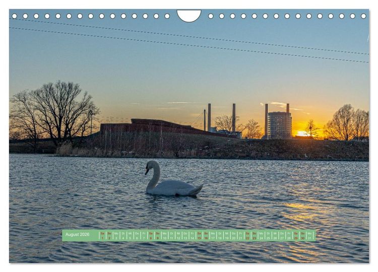 Produktbild: Wolfsburg - einfach tierisch (Wandkalender 2026 DIN A4 quer), CALVENDO Monatskalender