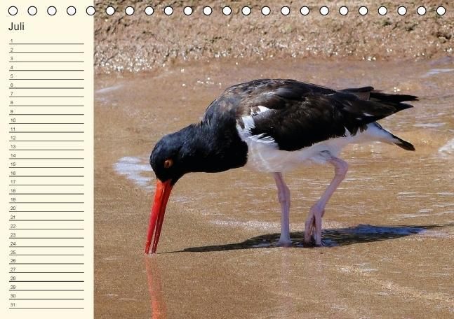 Produktbild: Gal&aacute;pagos Geburtstagskalender (Tischkalender immerw&auml;hrend DIN A5 quer)