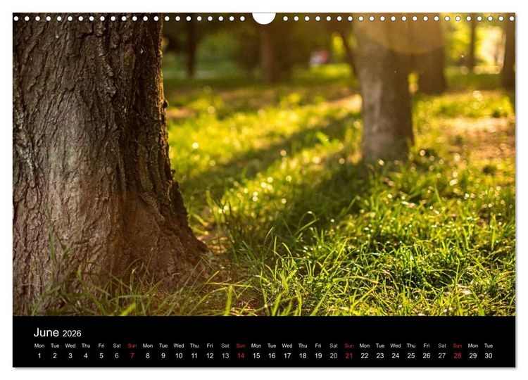 Produktbild: Landscapes from Romania (Wall Calendar 2026 DIN A3 landscape), CALVENDO 12 Month Wall Calendar