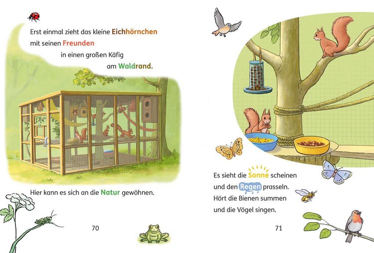 Produktbild: Lesen lernen mit Conni: Conni und das Eichh&ouml;rnchen