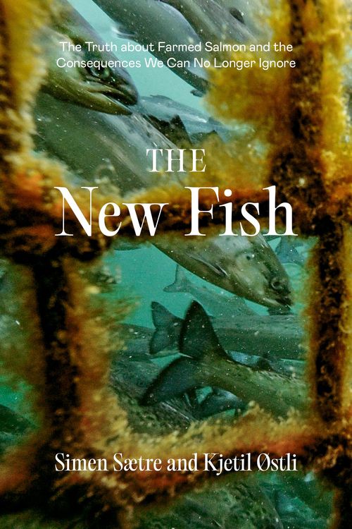 Produktbild: The New Fish