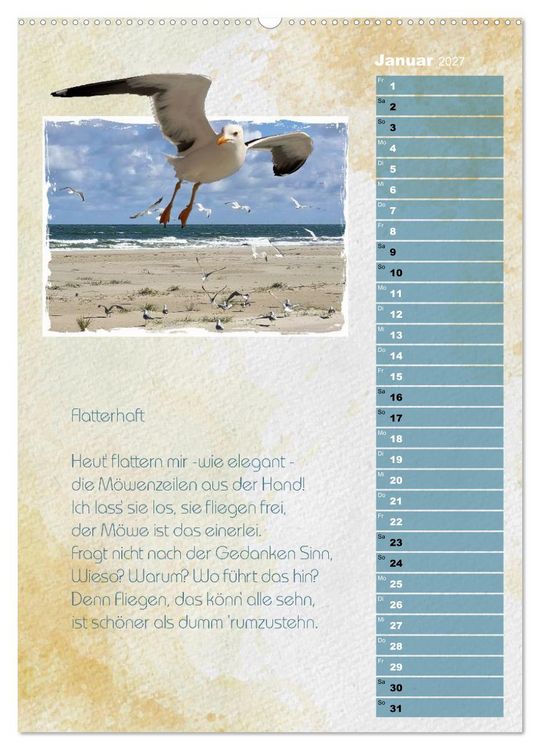 Produktbild: Wenn alle M&ouml;wen Emma hie&szlig;en... (Wandkalender 2027 DIN A2 hoch), CALVENDO Monatskalender