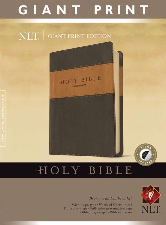 Produktbild: Giant Print Bible-NLT