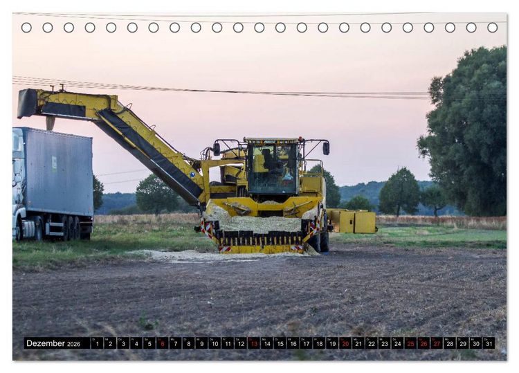 Produktbild: MAIS ERNTE (Tischkalender 2026 DIN A5 quer), CALVENDO Monatskalender