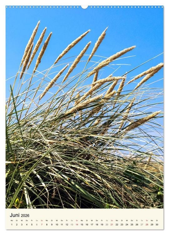 Produktbild: LANGEOOG Strandspaziergang (hochwertiger Premium Wandkalender 2026 DIN A2 hoch), Kunstdruck in Hochglanz