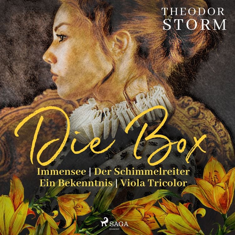 Produktbild: Theodor Storm. Die Box: Immensee | Der Schimmelreiter | Ein Bekenntnis | Viola Tricolor